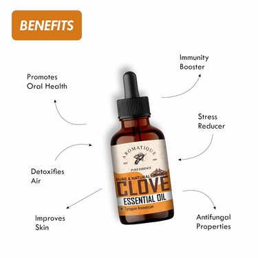 https://cdn.shopify.com/s/files/1/1857/6931/files/QvnyIsp1MM-768862.png?v=1736149329